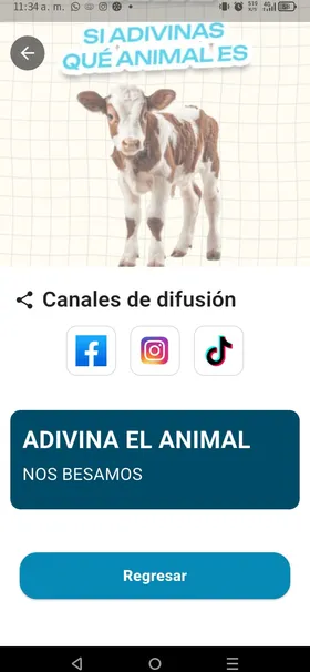 Campañas